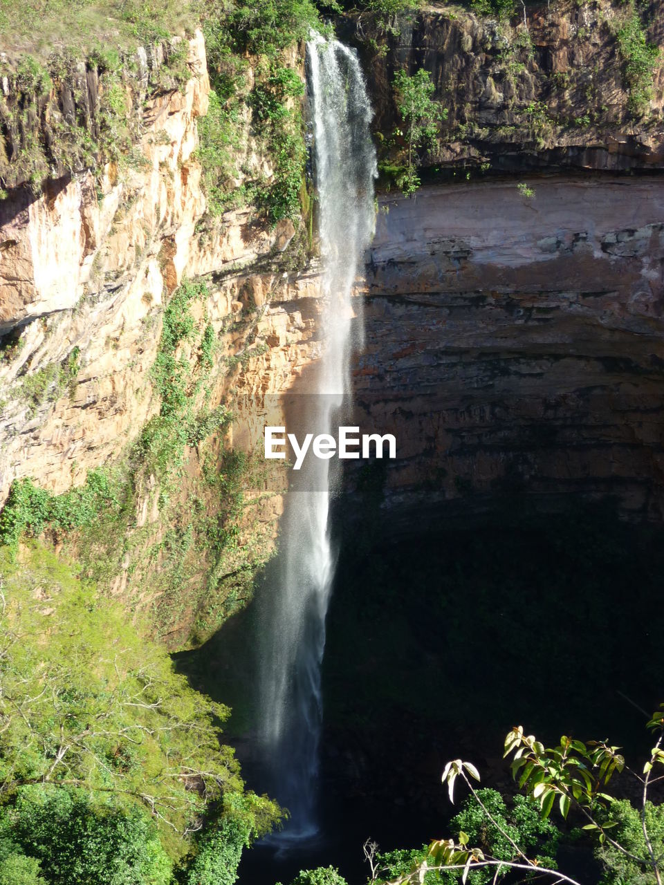 WATERFALL IN FOREST