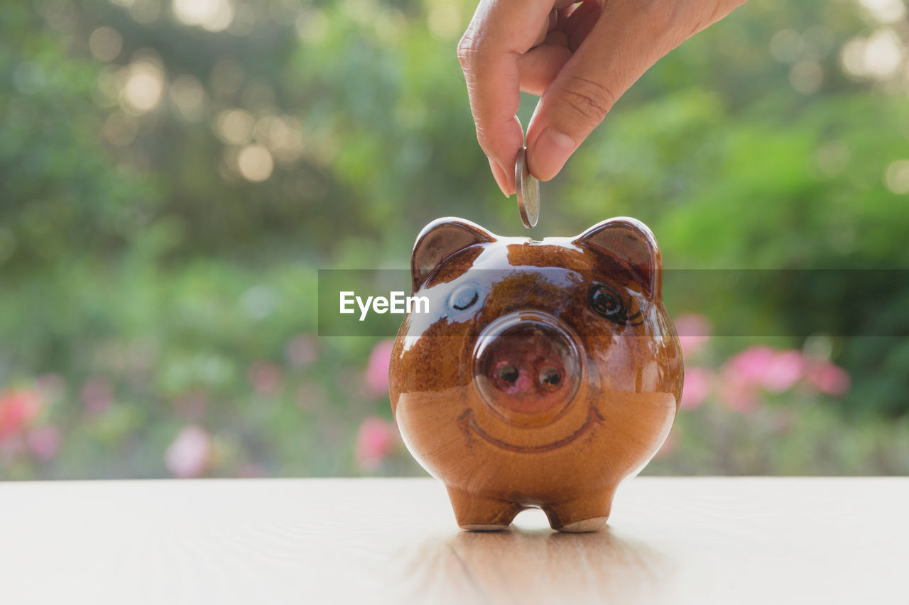 Close-up of person inserting coin in piggy bank on table