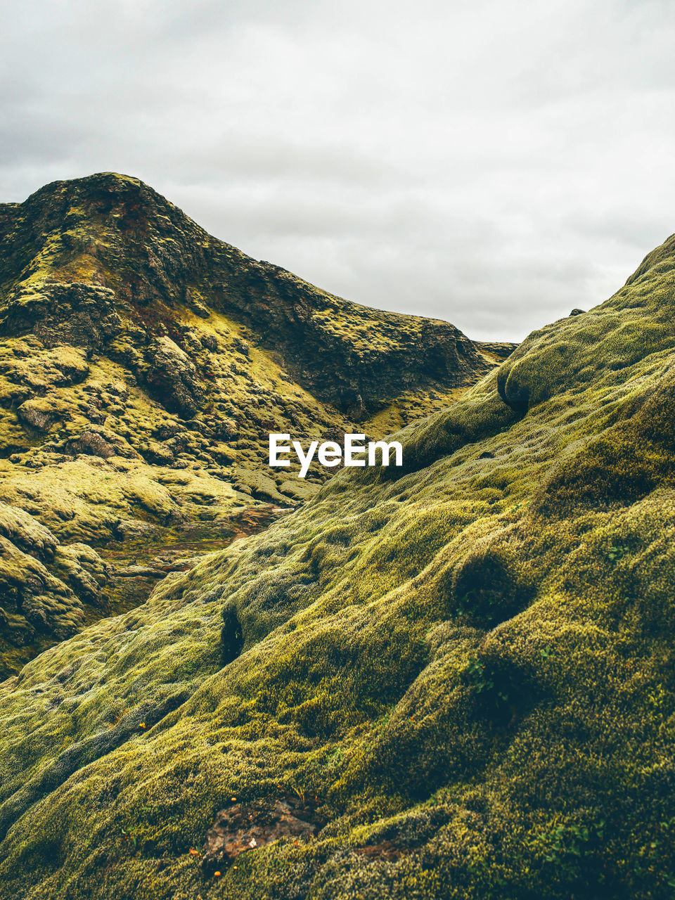 Moss covered rocks against sky