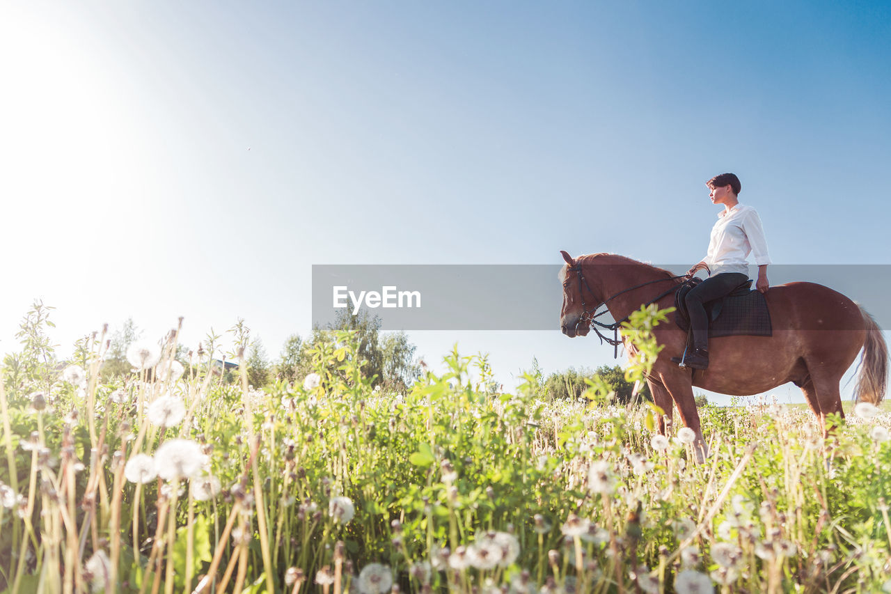 WOMAN RIDING HORSE ON FIELD