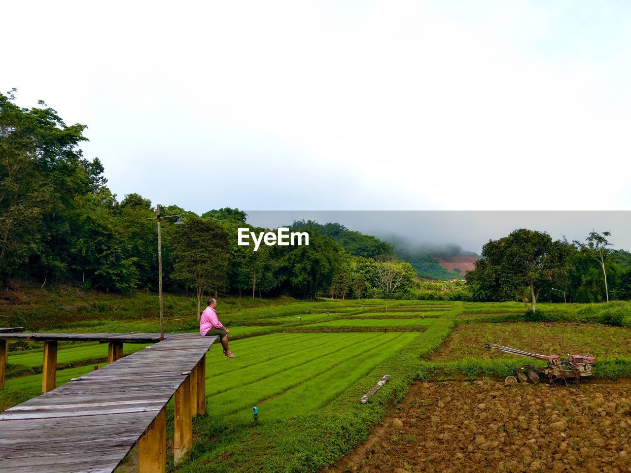 plant, tree, nature, landscape, grass, field, sky, one person, environment, rural area, green, rural scene, land, hill, adult, agriculture, beauty in nature, scenics - nature, day, full length, tranquility, outdoors, growth, farm, paddy field, walking, footpath, lifestyles, leisure activity, water, morning, men, tranquil scene, activity, crop, cloud, women, occupation