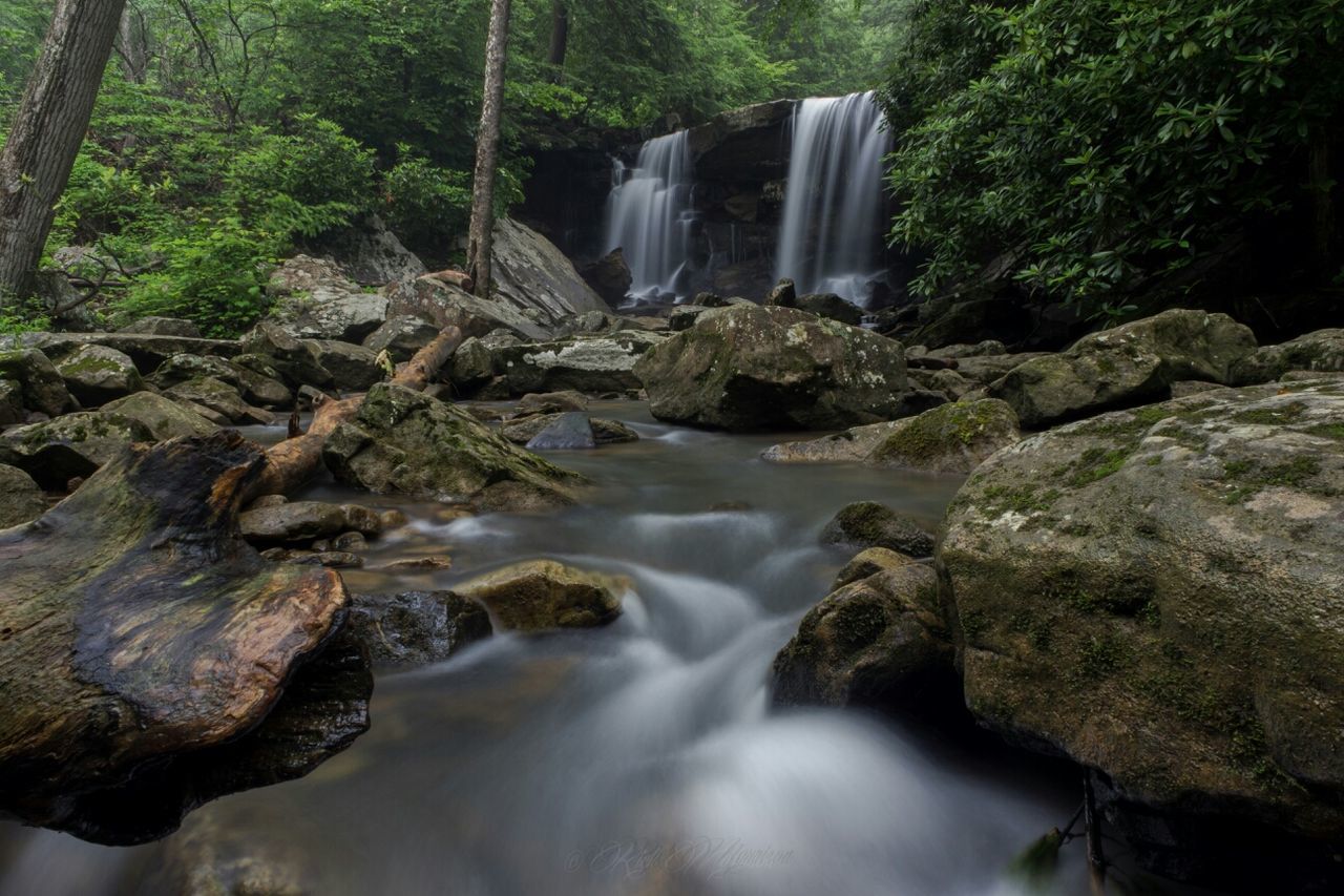 Scenic view of waterfall in forest