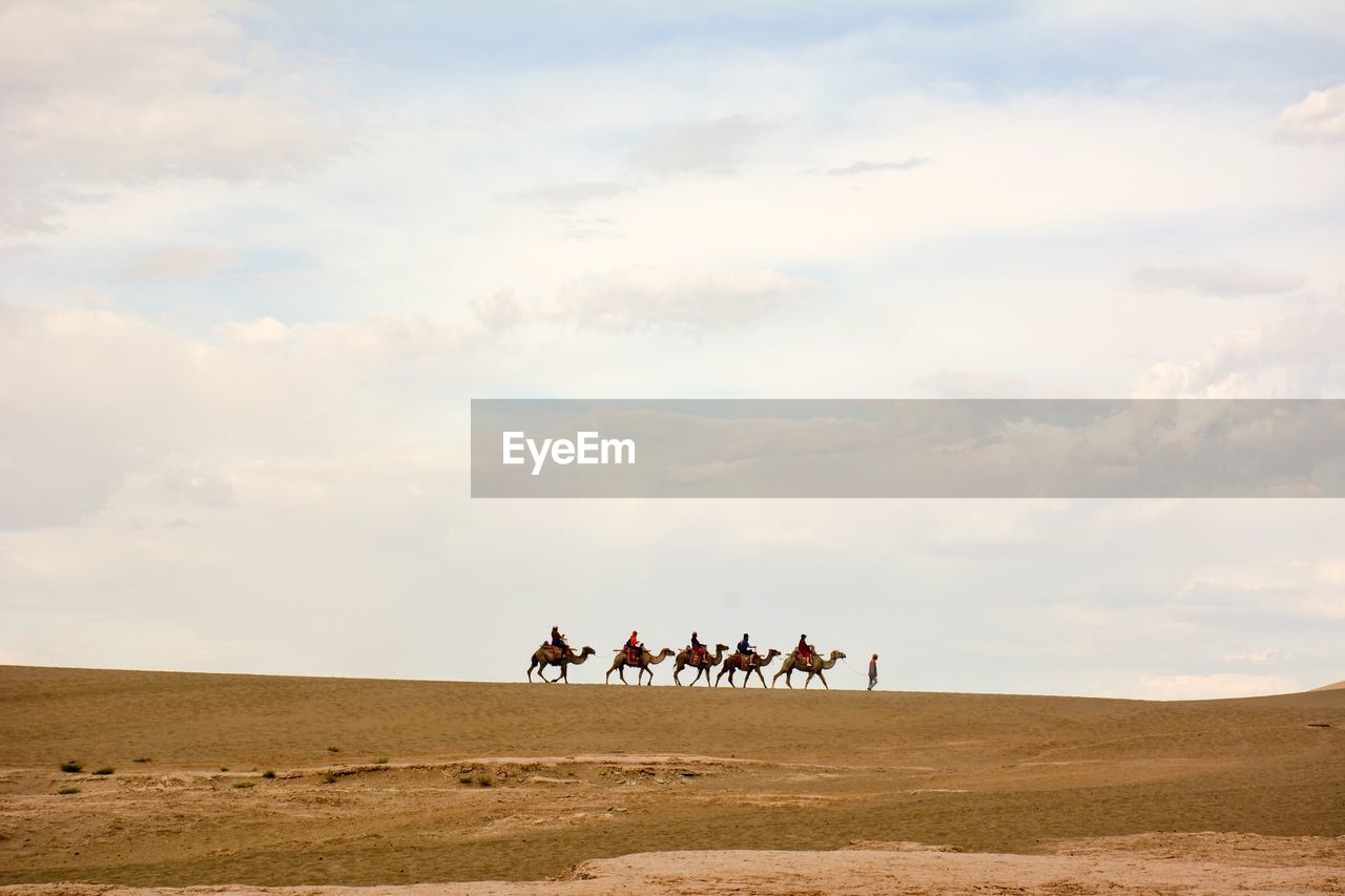 People riding on camels in desert against sky