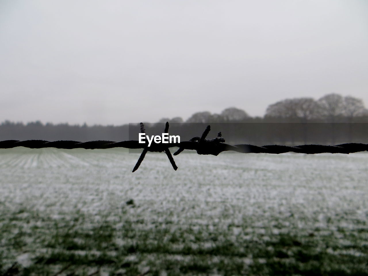 Close-up of barbed wire against landscape