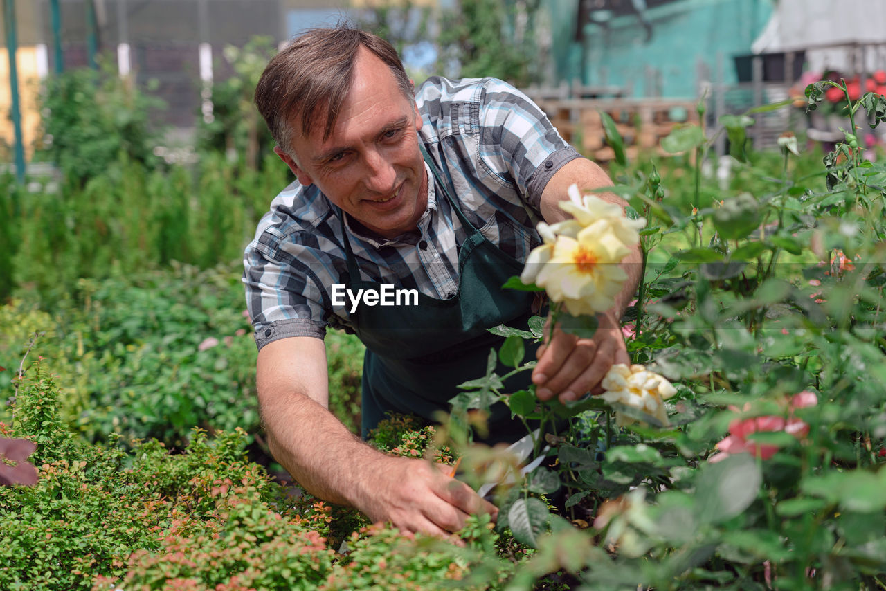 Smiling gardener working at greenhouse