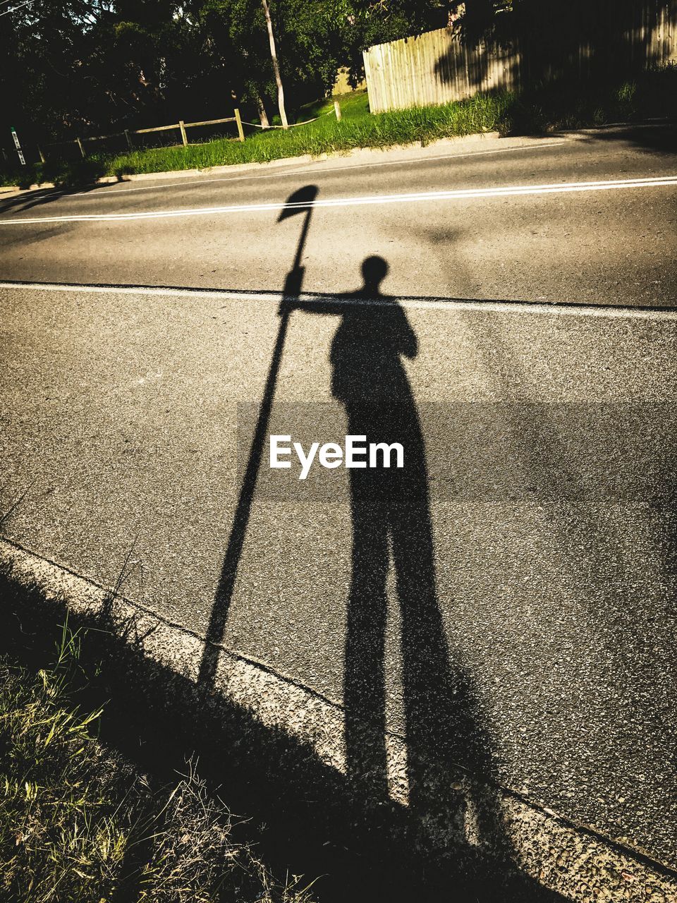 HIGH ANGLE VIEW OF SHADOW ON MAN STANDING ON TREE