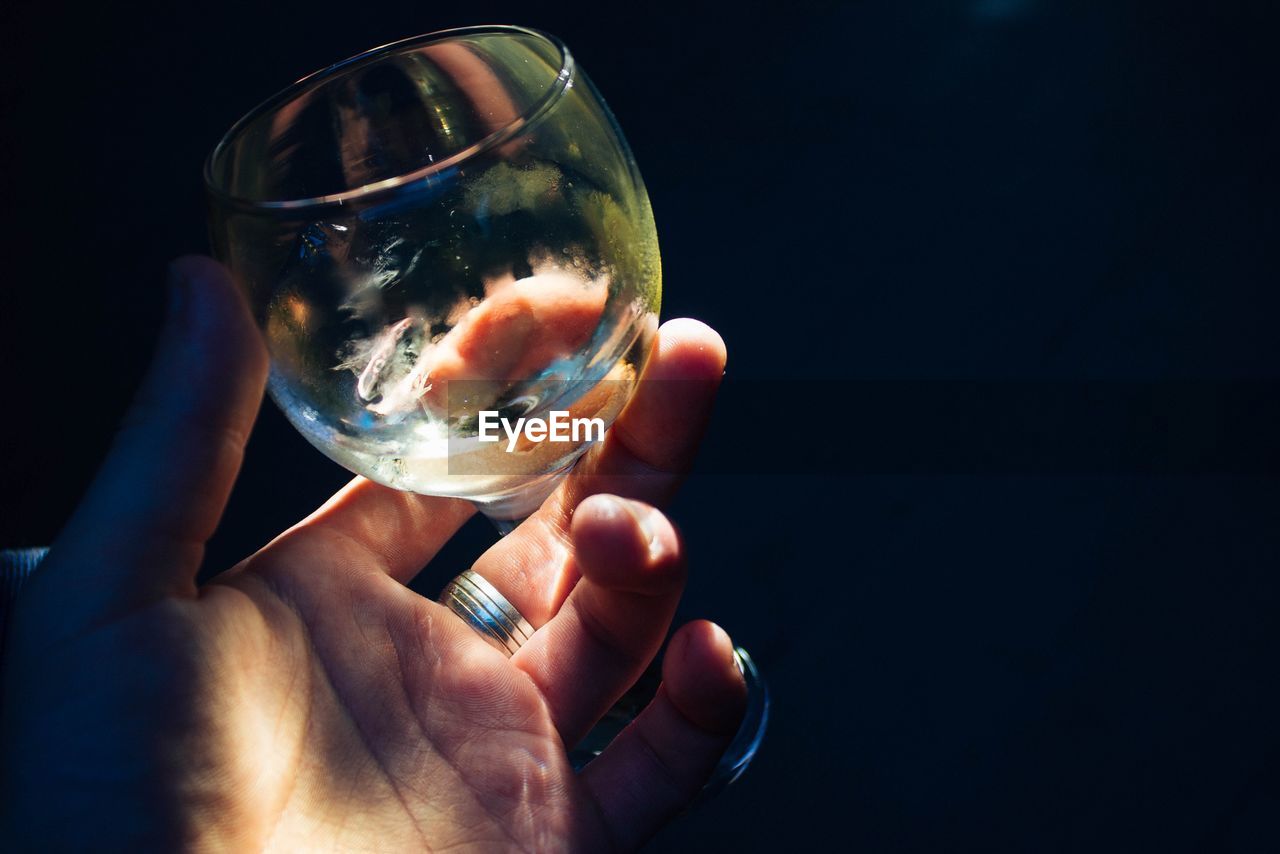 Close-up of person holding glass