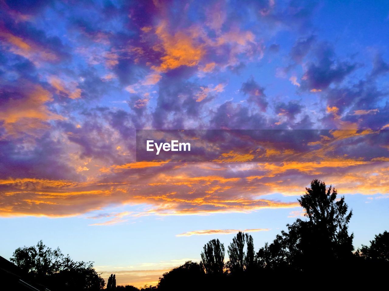 LOW ANGLE VIEW OF SILHOUETTE TREES AGAINST DRAMATIC SKY DURING SUNSET