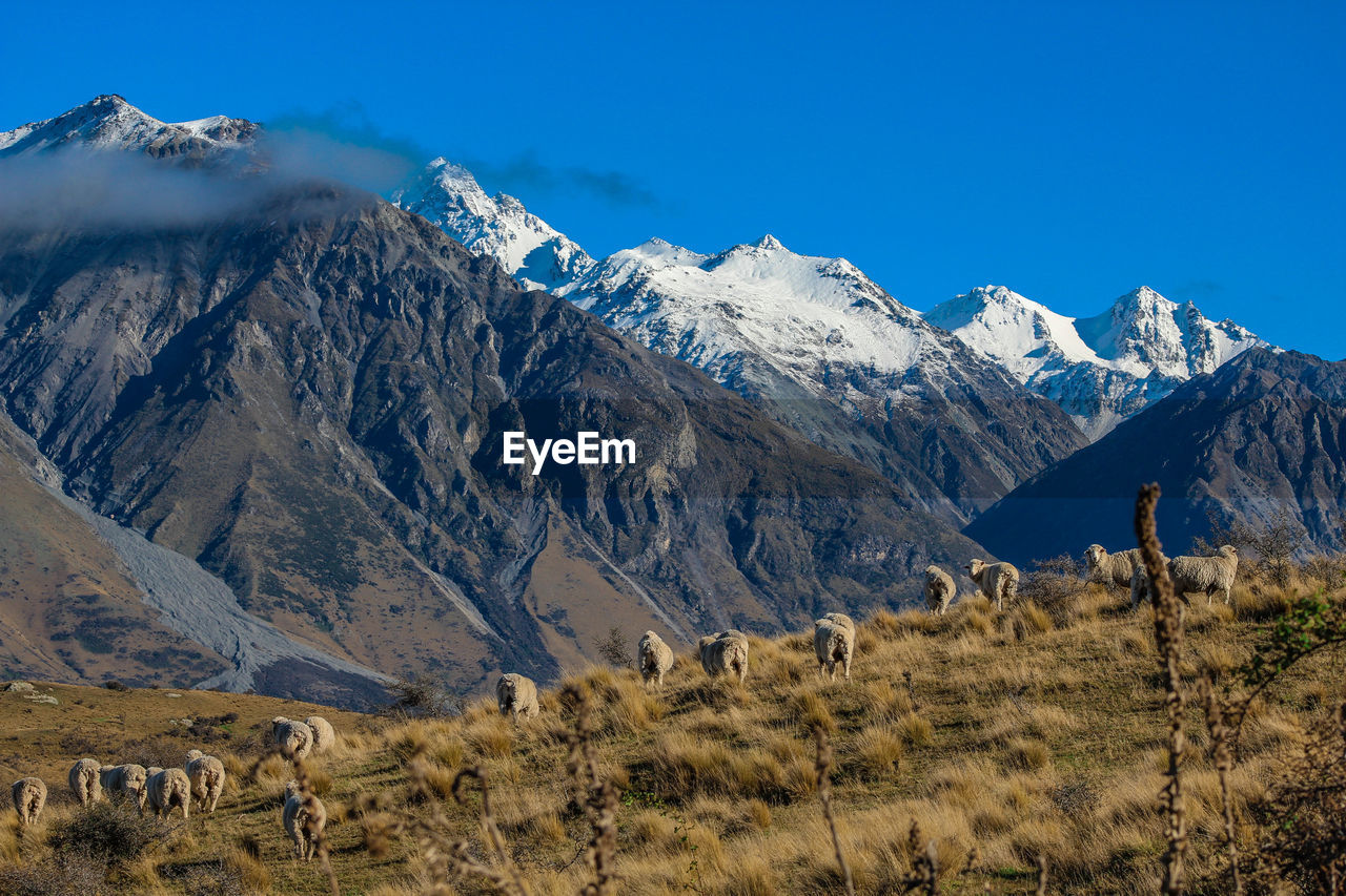 Scenic view of snowcapped mountains against sky