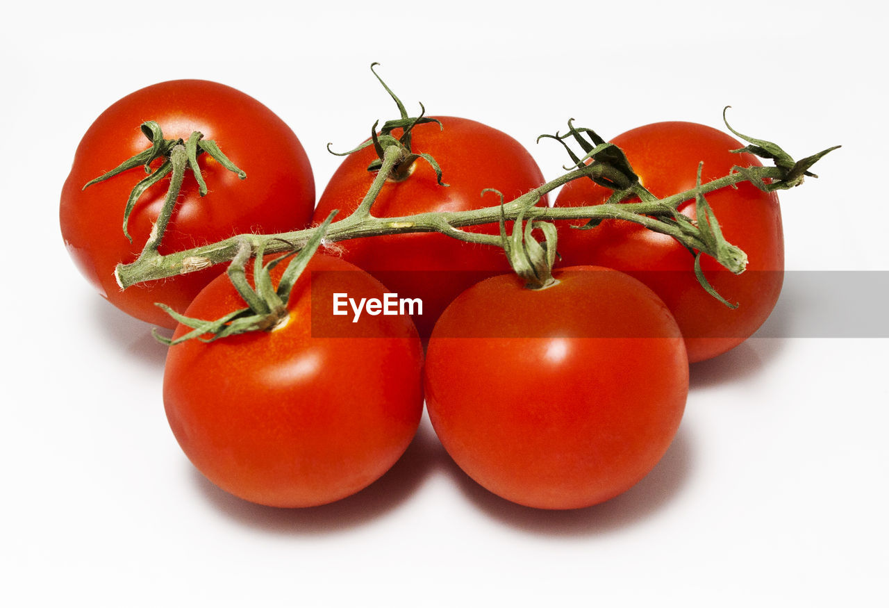 Close-up of tomatoes against white background