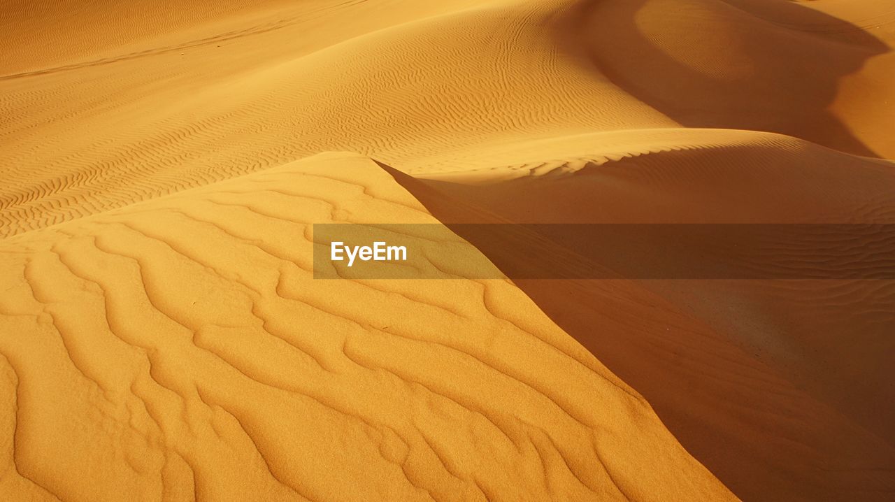 Ripples in sand dunes in desert