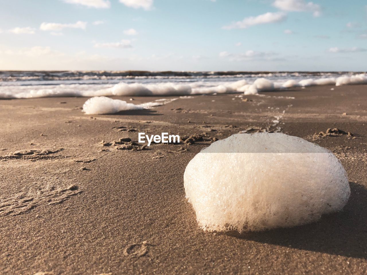 SCENIC VIEW OF SEA SHORE