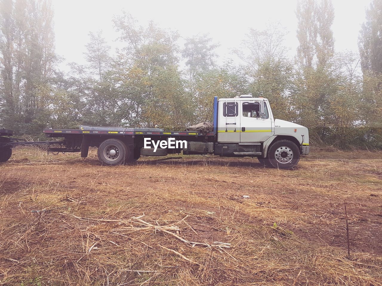 TRACTOR ON FIELD AGAINST TREES