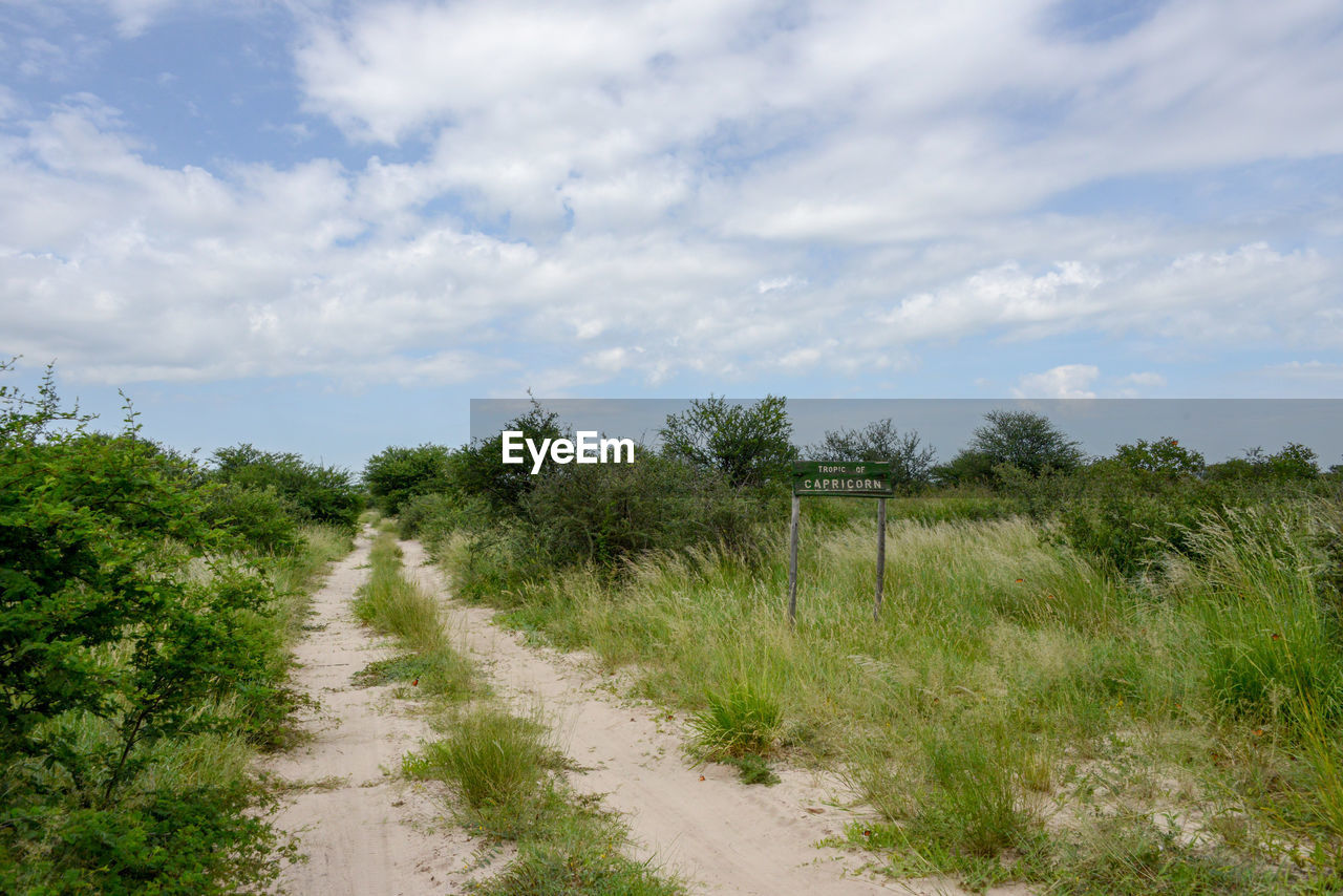 DIRT ROAD AMIDST PLANTS AGAINST SKY