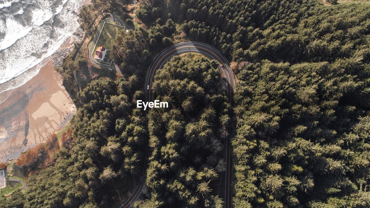 Aerial view of mountain road amidst trees