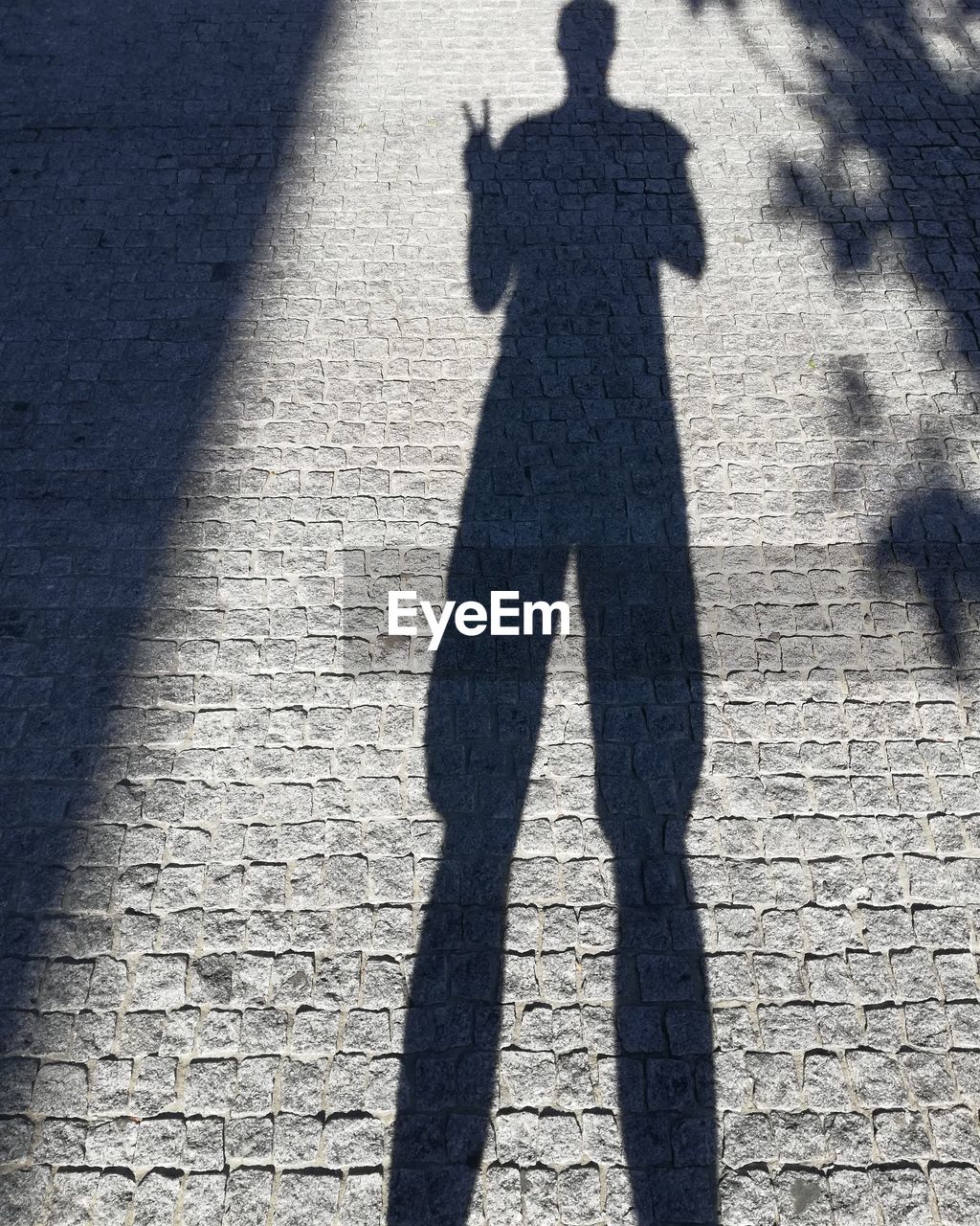 HIGH ANGLE VIEW OF PEOPLE SHADOW ON FOOTPATH