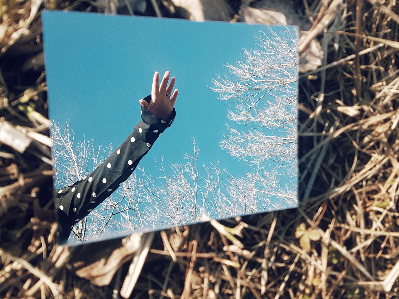 HIGH ANGLE VIEW OF PERSON ON BLUE FIELD