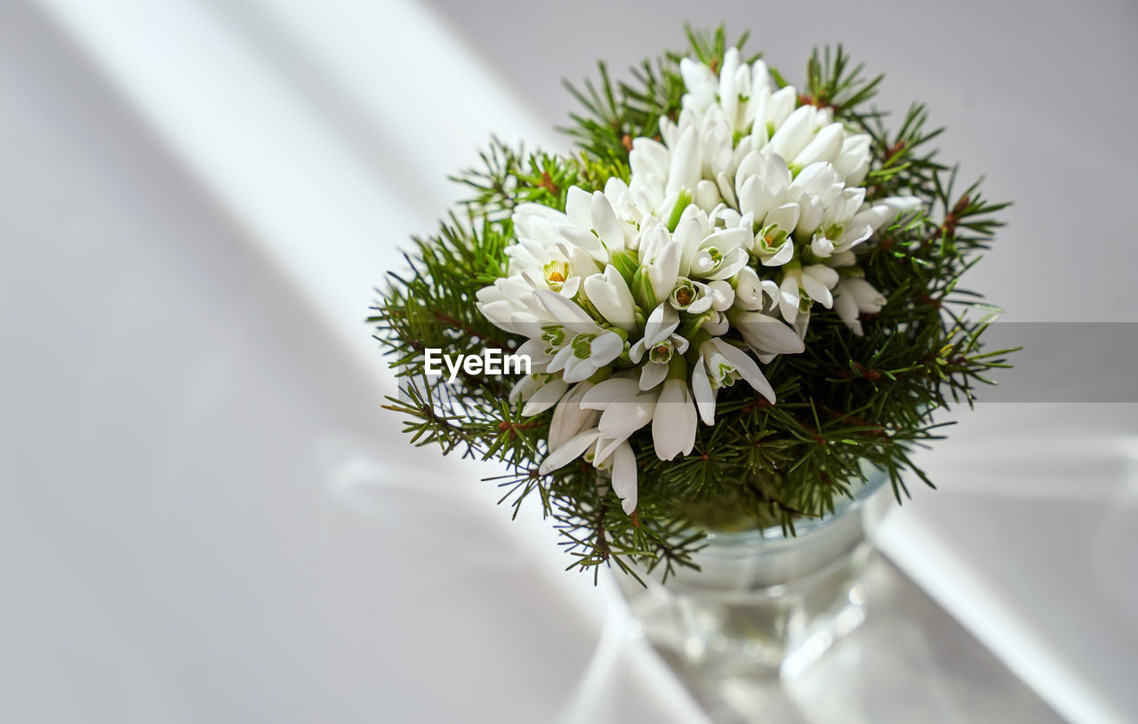 flower, plant, flowering plant, nature, white, bouquet, flower arrangement, freshness, floristry, beauty in nature, indoors, floral design, close-up, no people, flower head, arrangement, celebration, cut flowers, fragility, decoration, wedding, vase, event, studio shot, green, bunch of flowers, copy space, focus on foreground