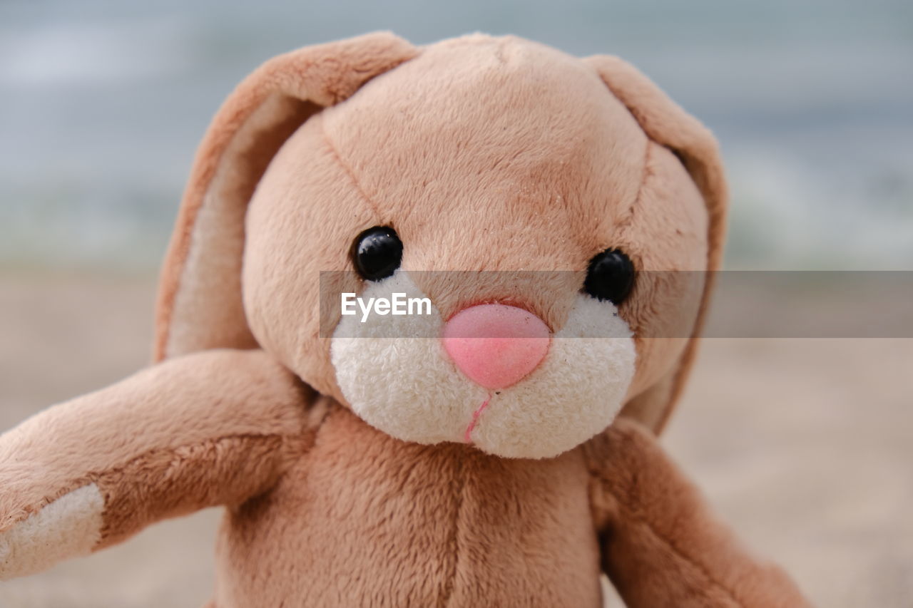 stuffed toy, toy, teddy bear, childhood, plush, representation, animal representation, close-up, textile, cute, animal, focus on foreground, mammal, nature, pink, day, animal themes, brown, sea, cartoon, land, fun, beach, single object