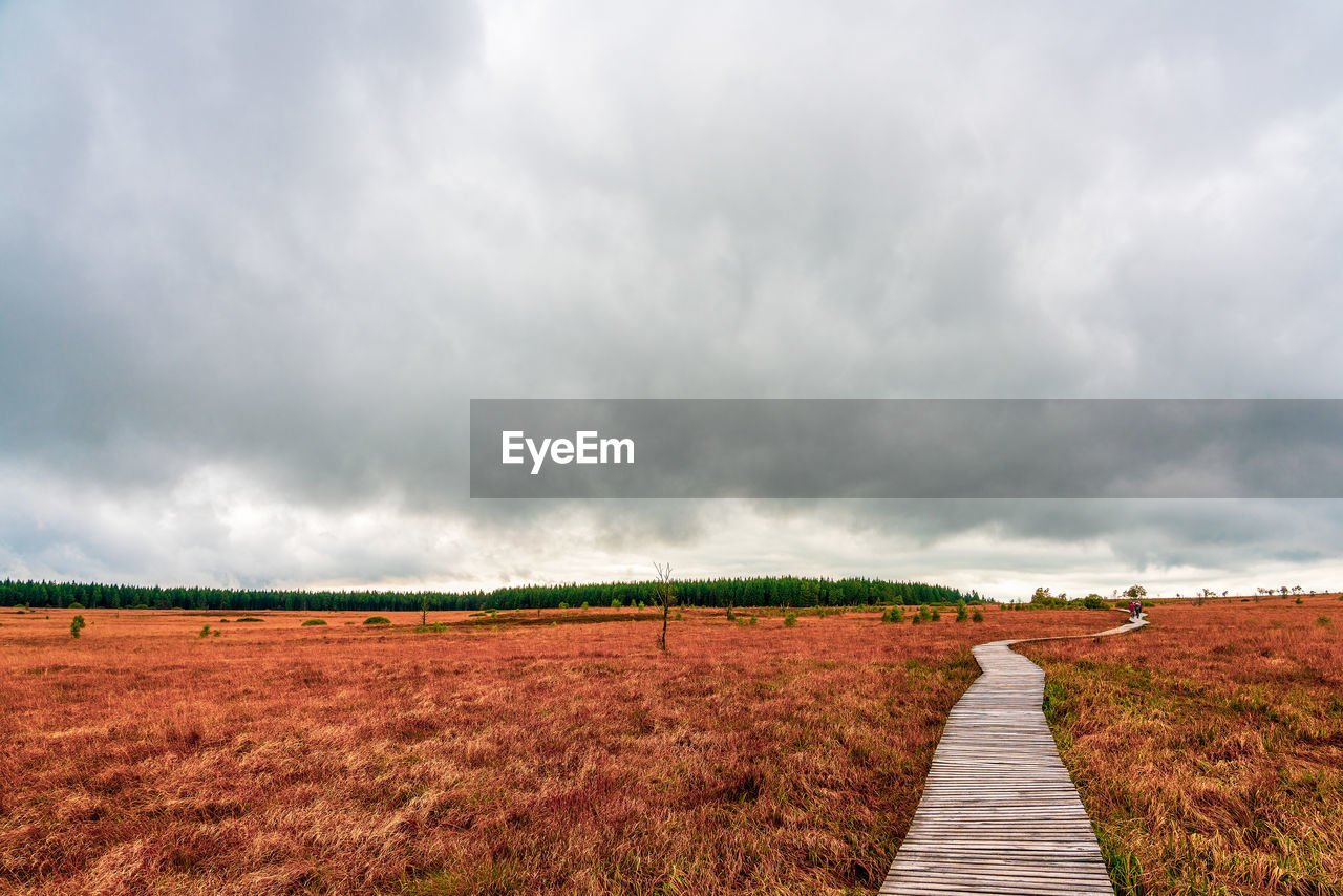 SCENIC VIEW OF LAND AGAINST SKY