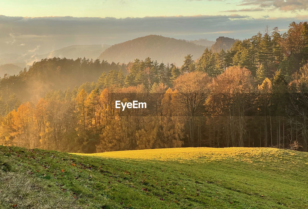 SCENIC VIEW OF LANDSCAPE DURING AUTUMN