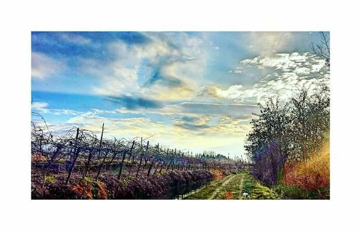 SCENIC VIEW OF LANDSCAPE AGAINST CLOUDY SKY