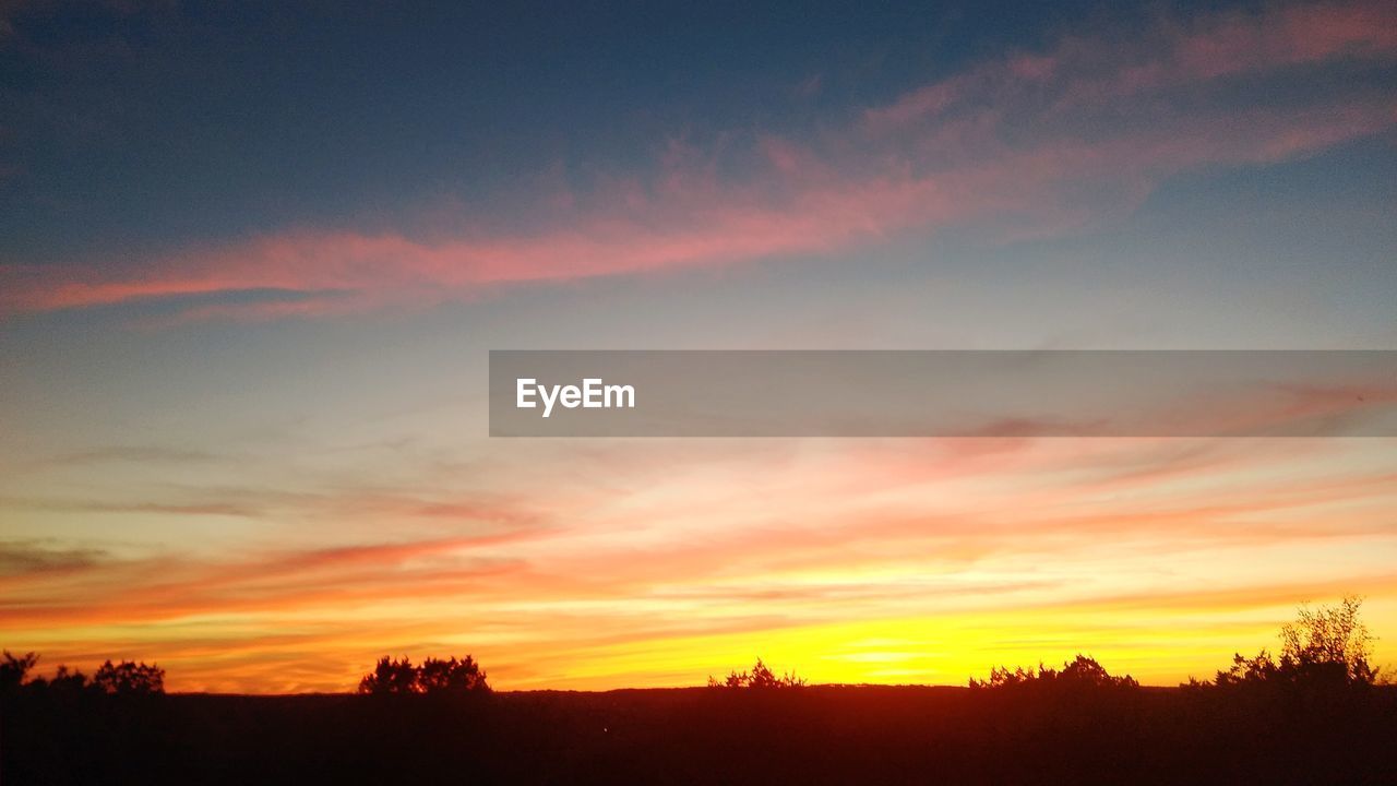 SCENIC VIEW OF SILHOUETTE TREES AGAINST DRAMATIC SKY