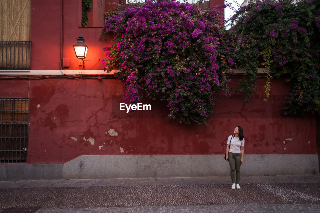 Distant female traveler standing on footpath near old building with streetlight and blooming purple flowers during trip in cordoba town