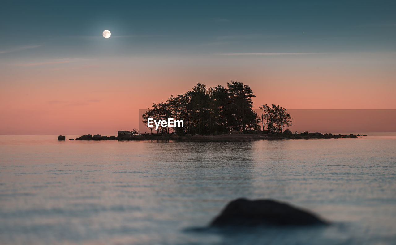 Silhouette tree by sea against sky during sunset