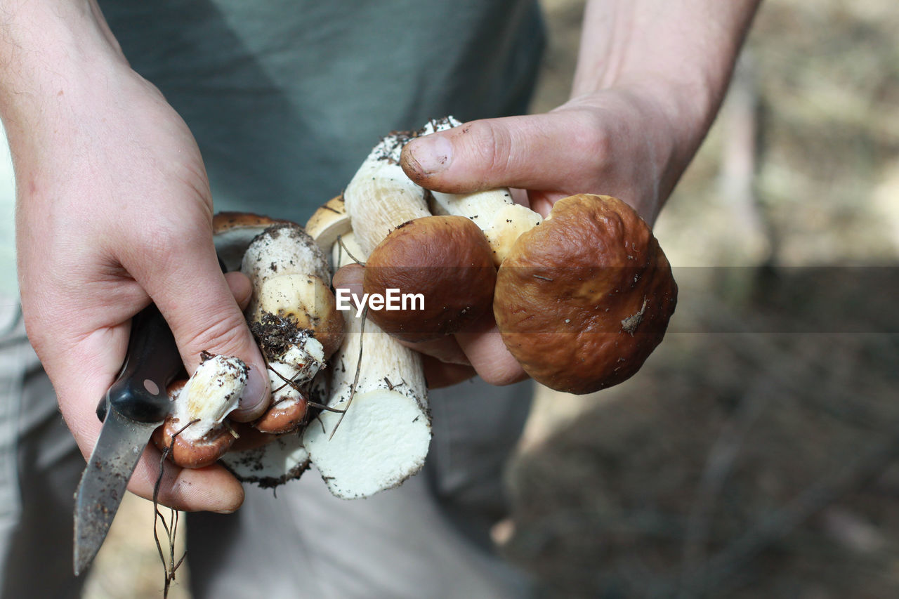 Close-up of man holding mushroom