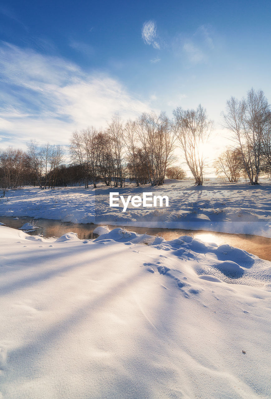 SNOW COVERED LAND AND TREES AGAINST SKY DURING WINTER