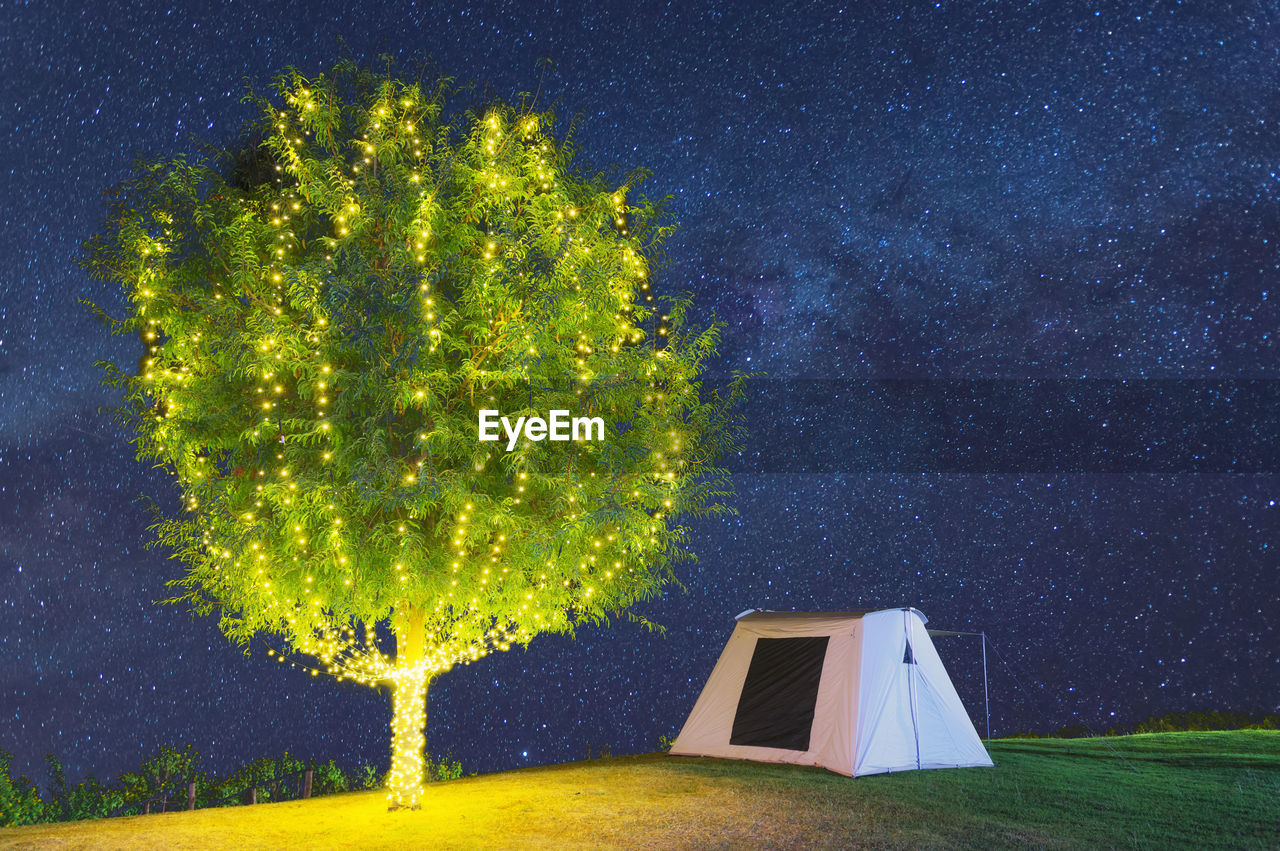 Beautiful tree adorn lights beside tent camping at night. milky way galaxy stars in the sky. 