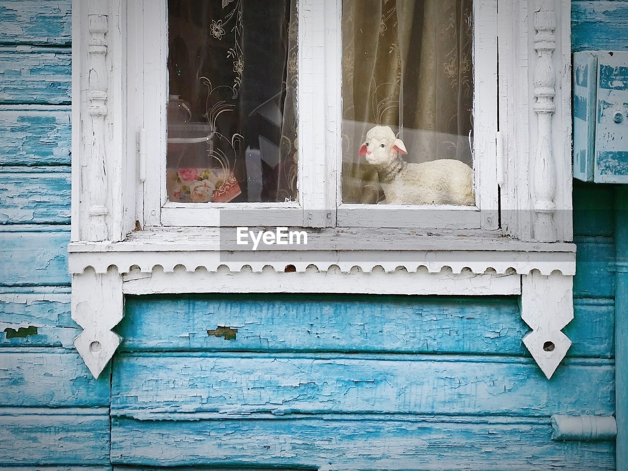 Sheep toy on window