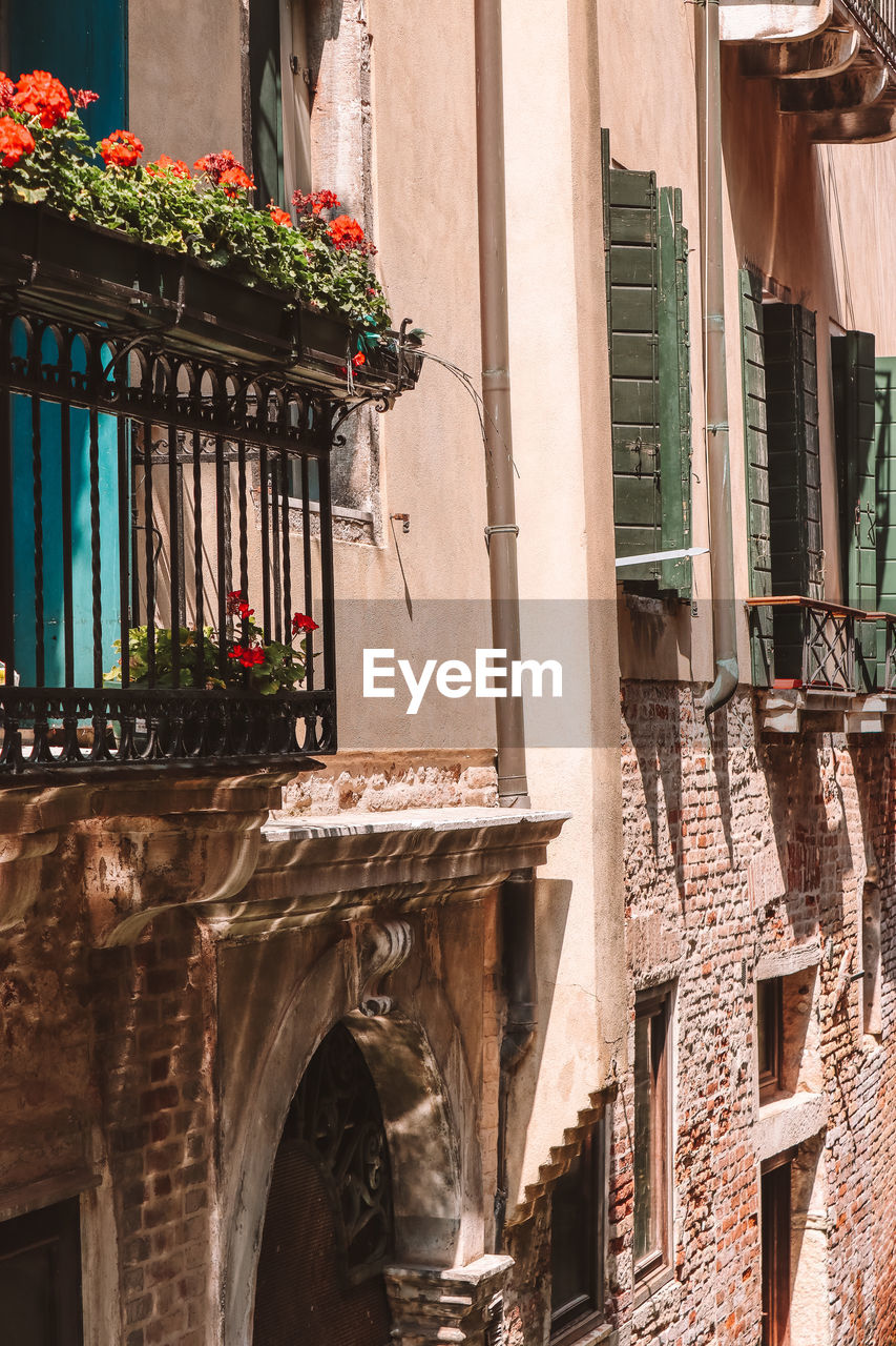 Low angle view of potted plants on balcony of building