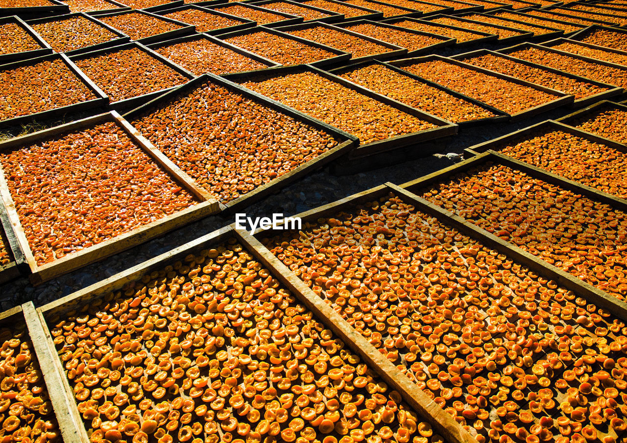 Full frame shot of food drying in sunny day