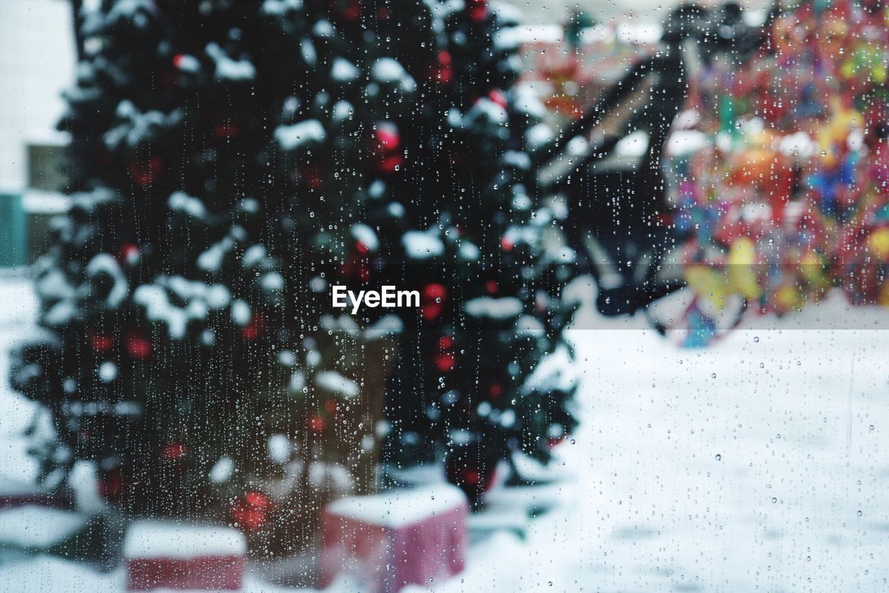 Christmas tree on snow covered field seen through wet glass