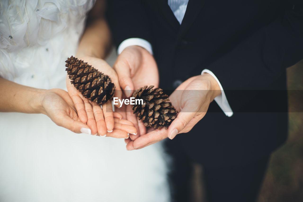 Close-up of couple holding pine cone