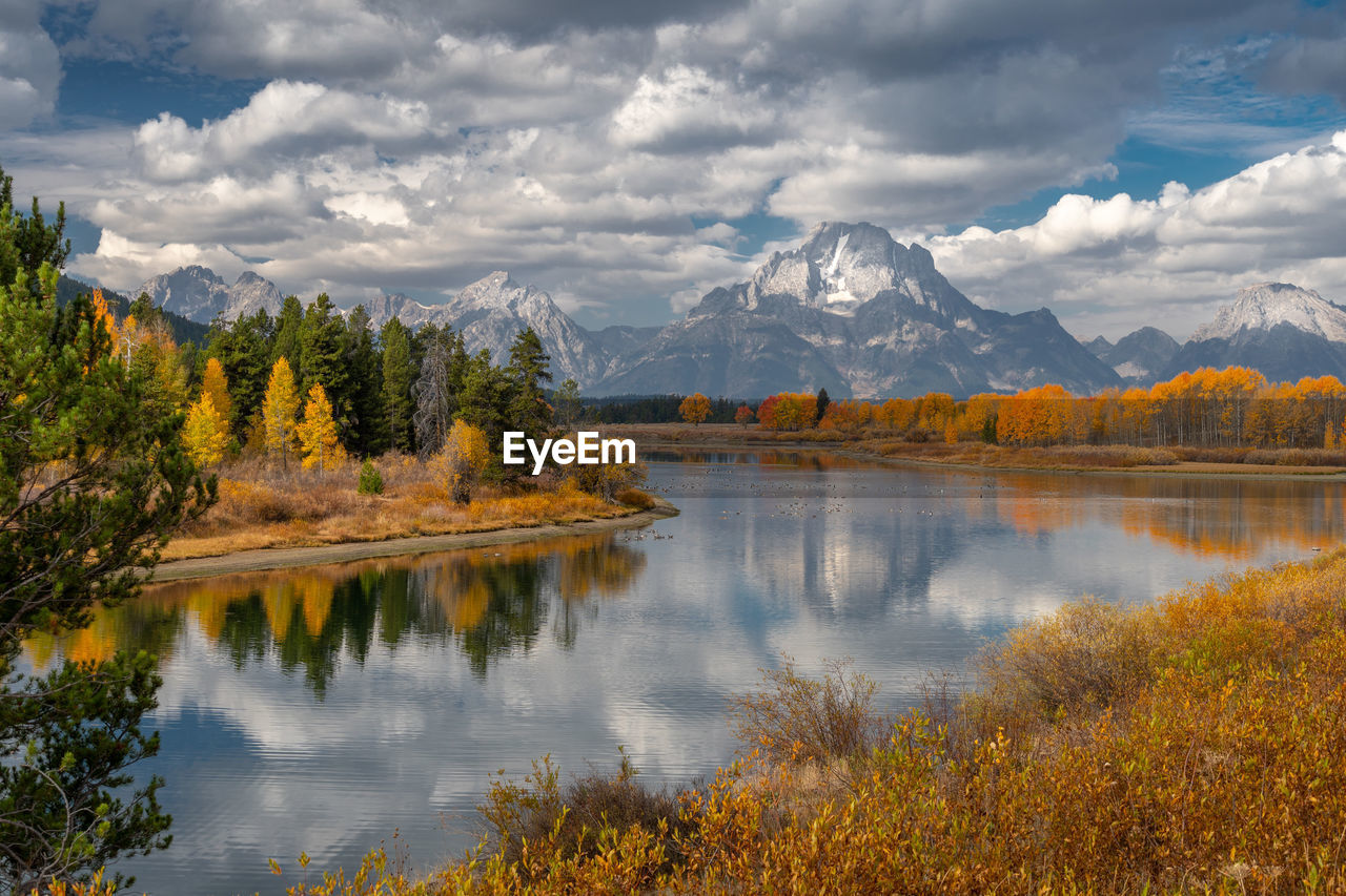 Scenic view of river and tree against sky