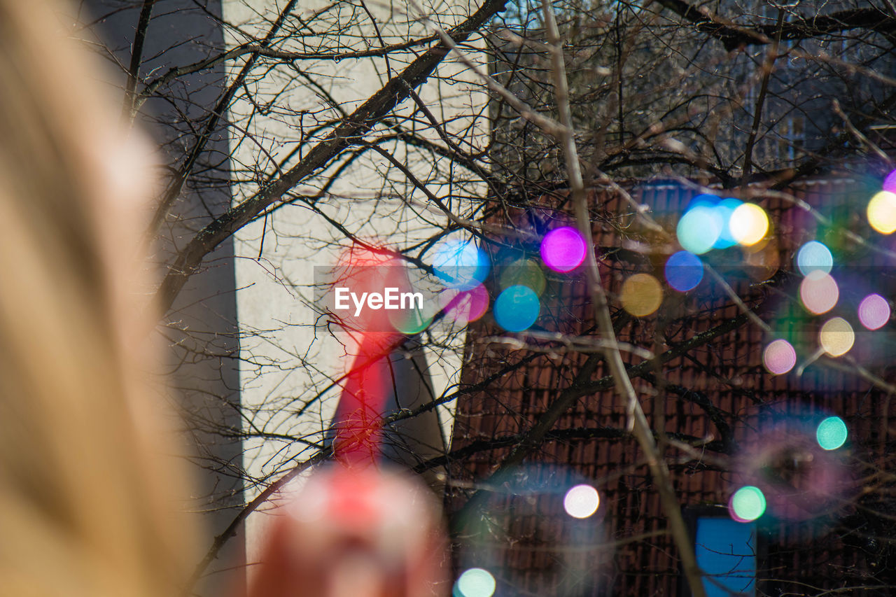 Bare trees seen through glass with reflection of colorful illuminated lights