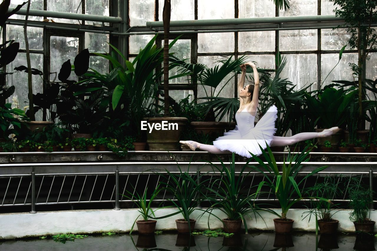 Ballet dancer dancing against palm trees