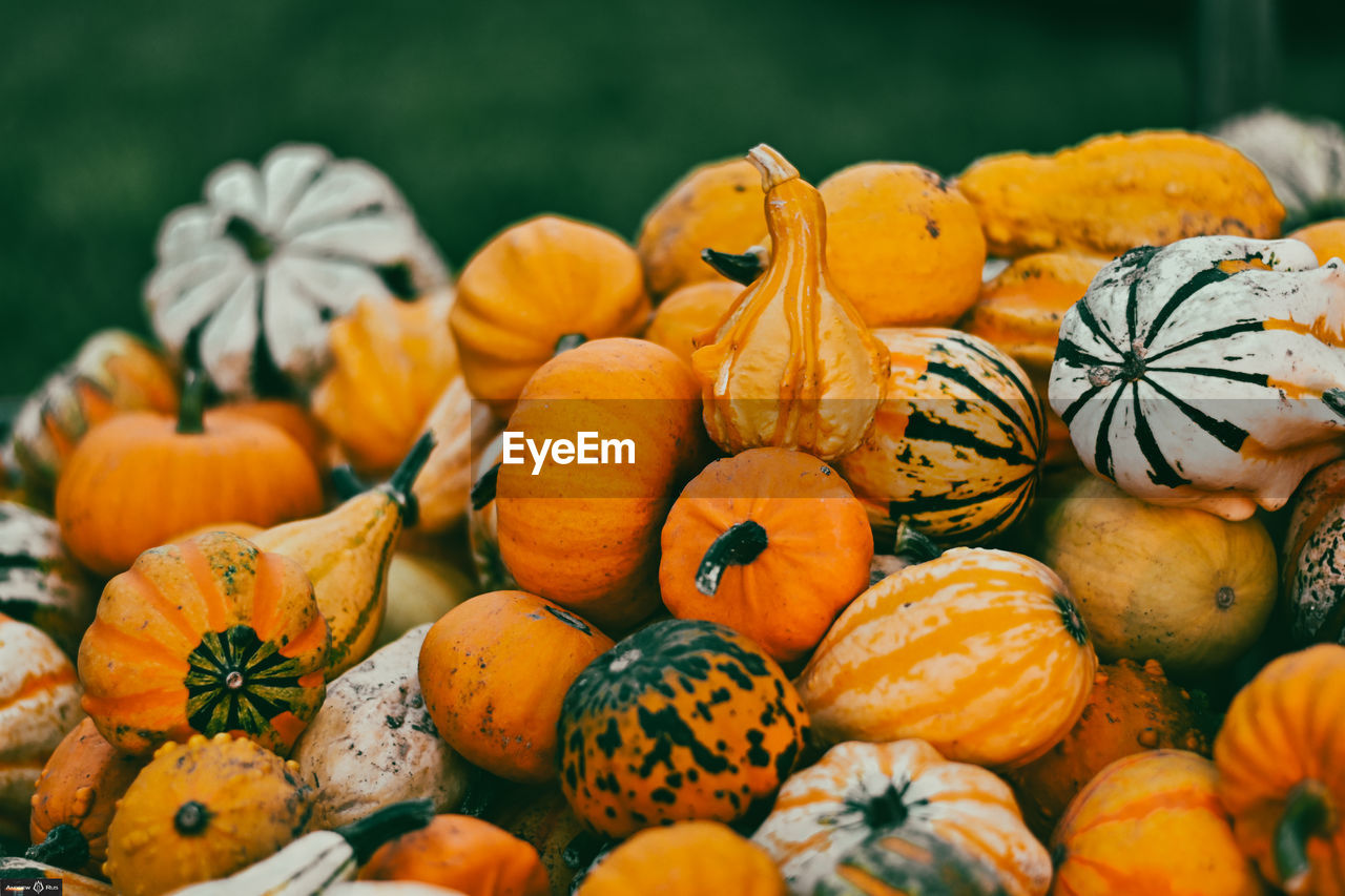 High angle view of pumpkins for sale