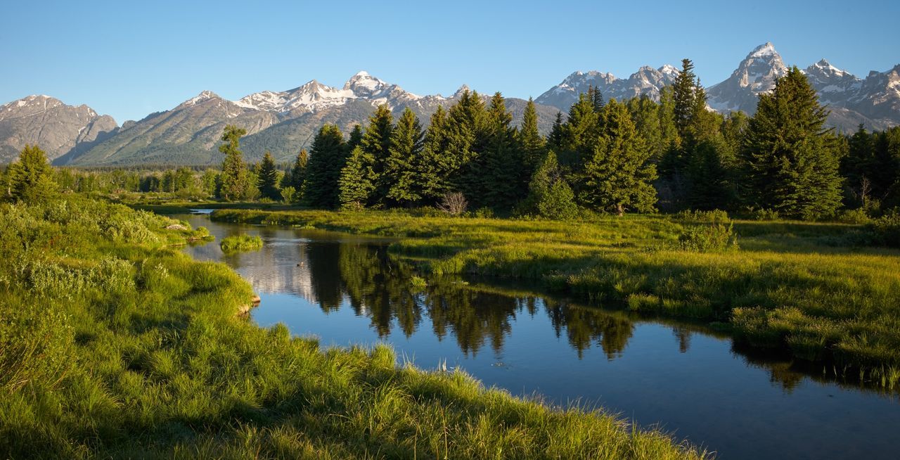 Scenic view of lake by trees against clear sky