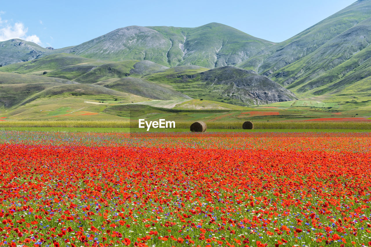 Scenic view of field by mountains against sky