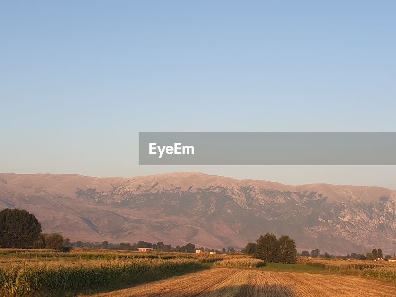 Scenic view of field against clear sky