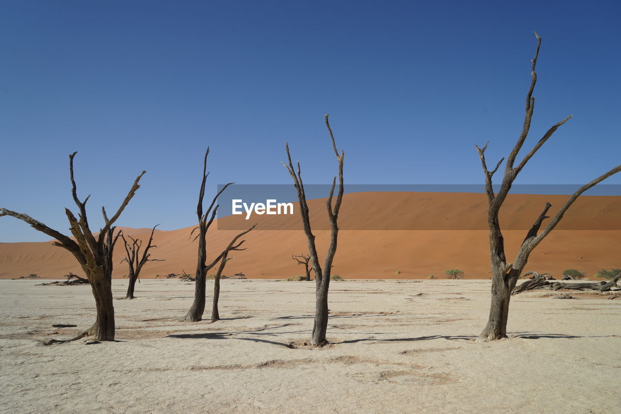 Scenic view of desert against clear blue sky