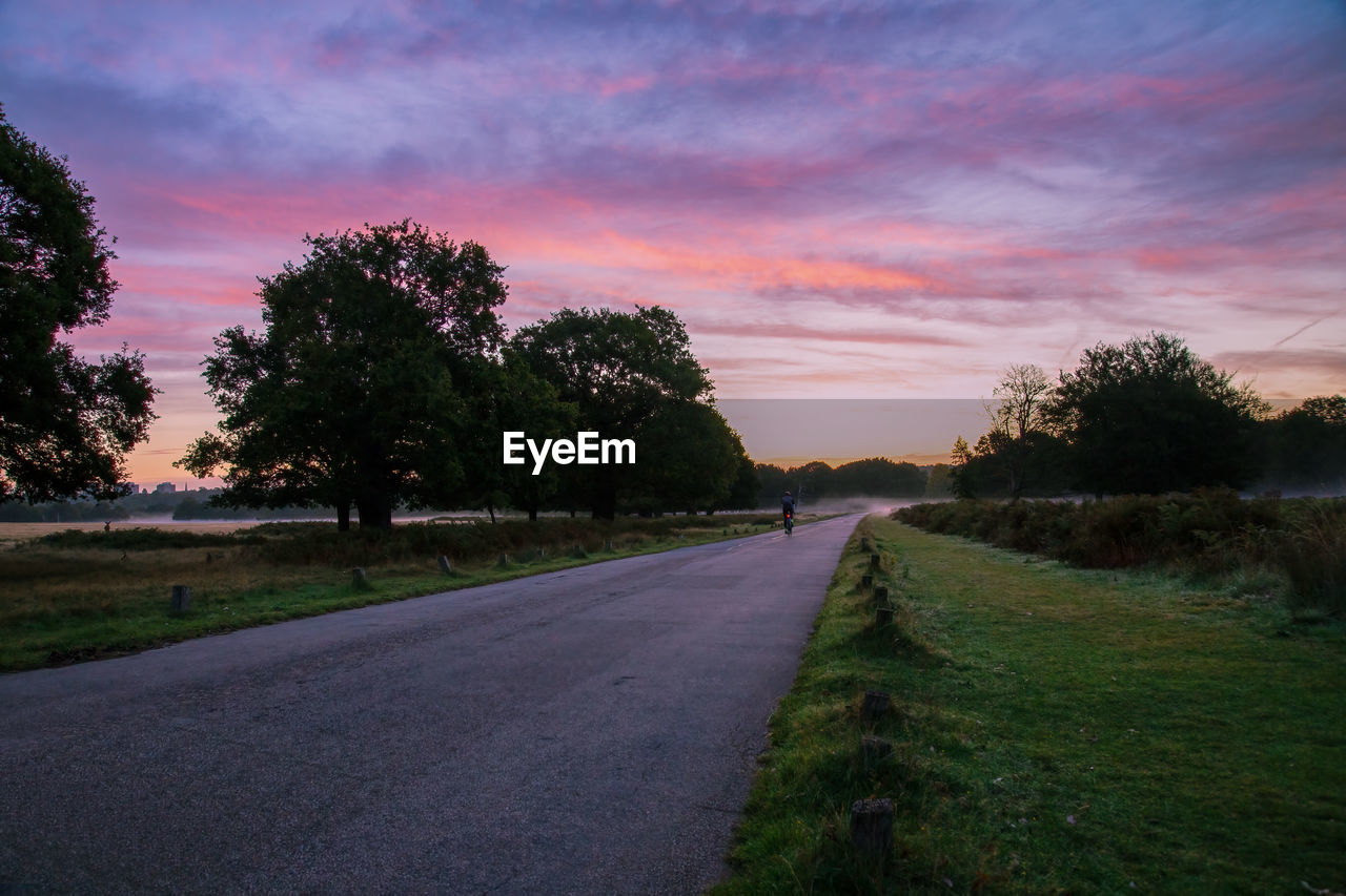 EMPTY ROAD ALONG TREES AT SUNSET