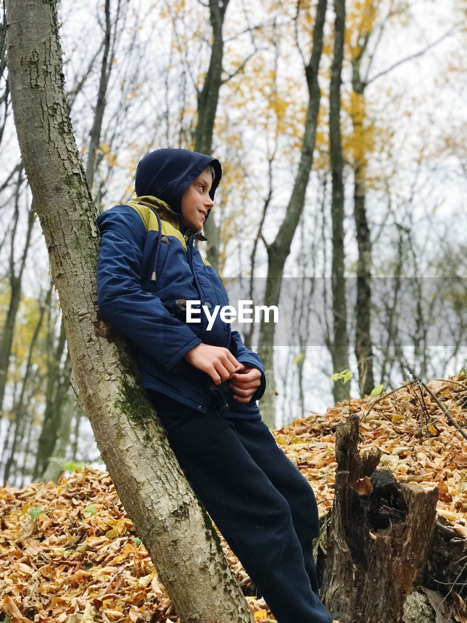 Boy stands leaning under a tree in the autumn forest and looks away