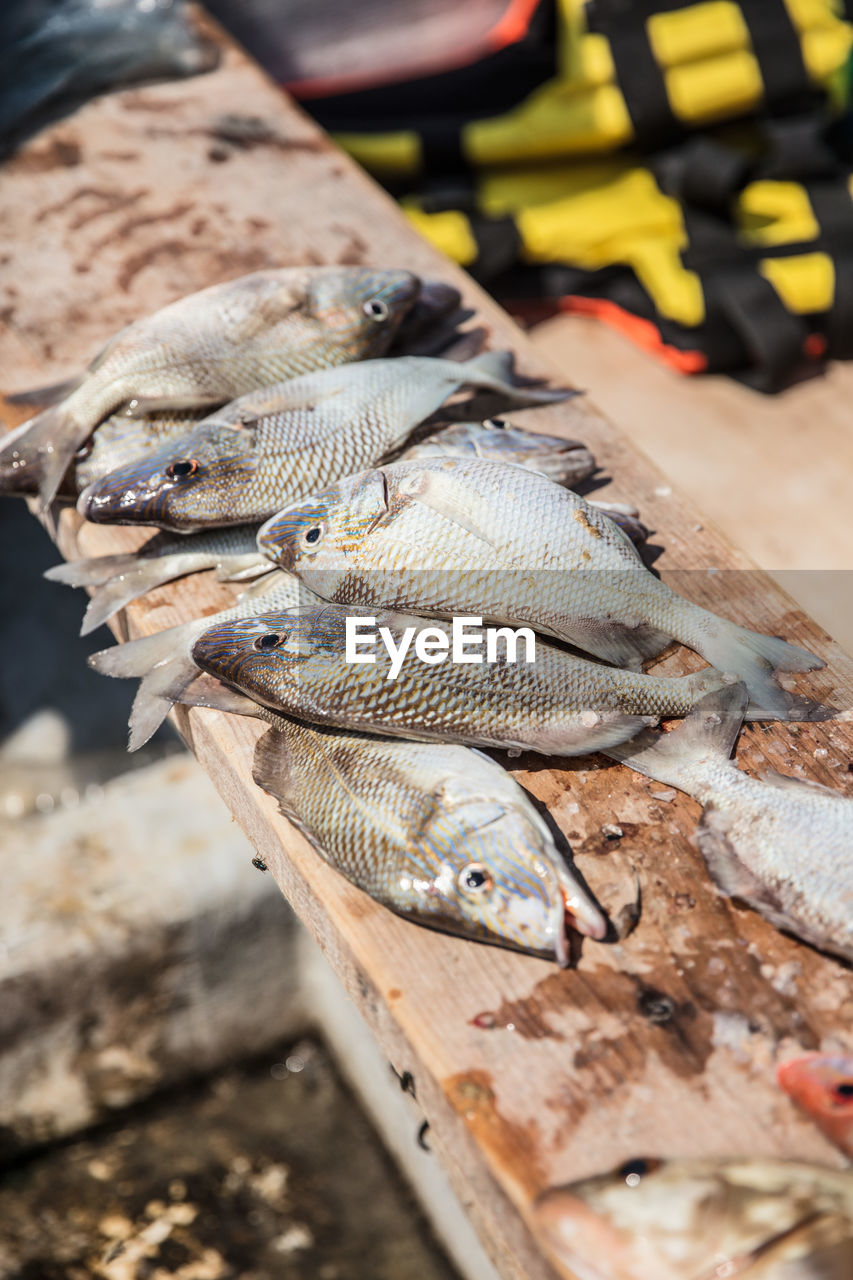 High angle view of fish on table at market