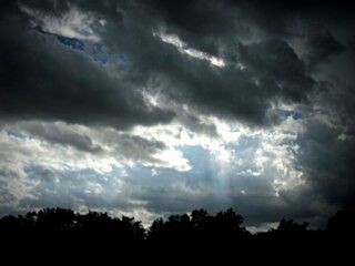 SILHOUETTE OF TREE AGAINST CLOUDY SKY