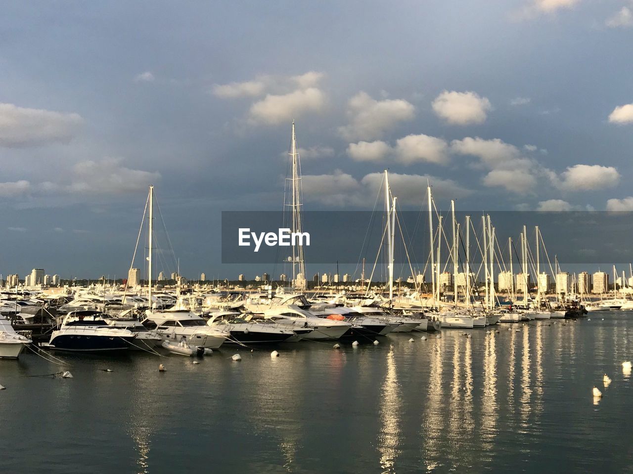 Sailboats in marina